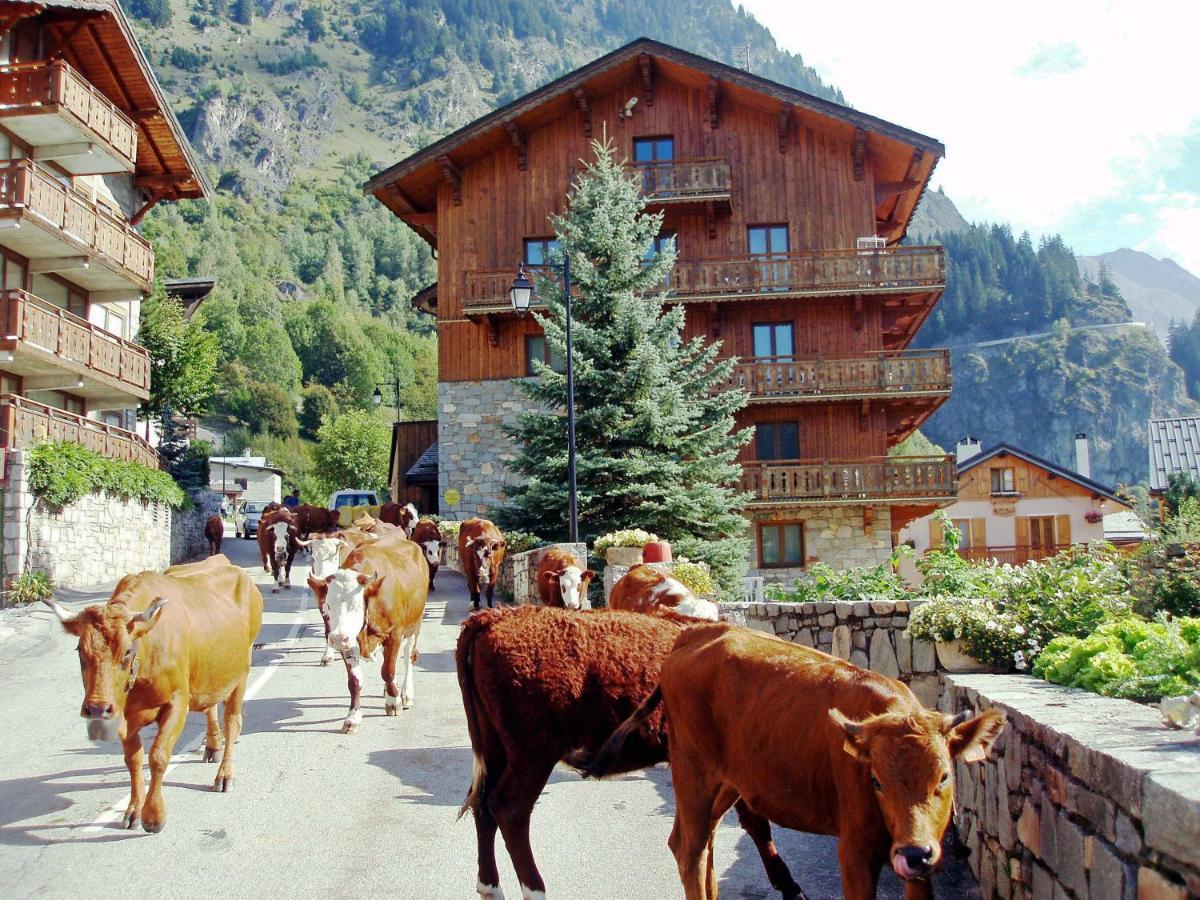 Ferienwohnung Chalet Bouquetin- Aigle Royal La Plagne Exterior foto